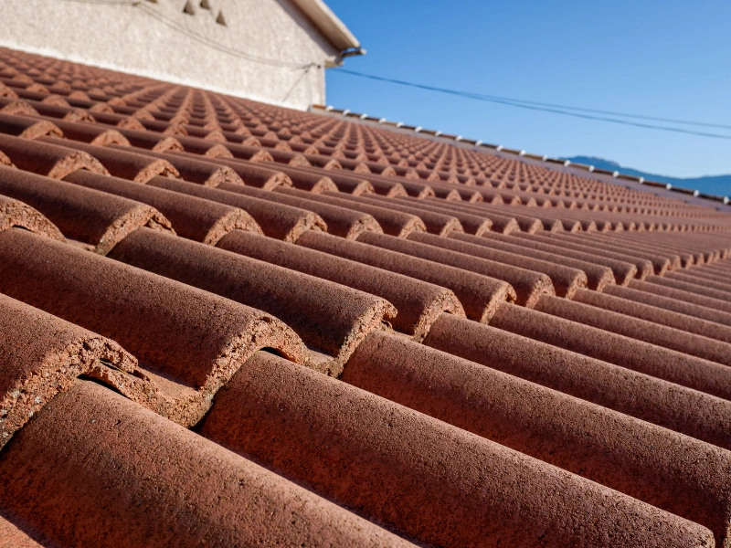 Image of clay tiles on a roof.